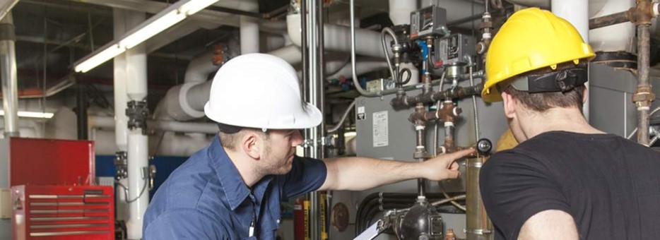 Servizio diassistenza ad impianti industriali e macchinari automatici per industria